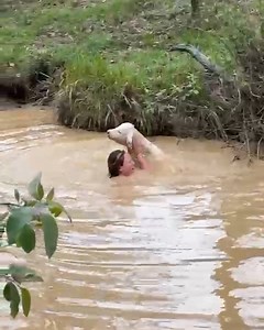 Woman Rescues Calf From Creek | Animal Stories