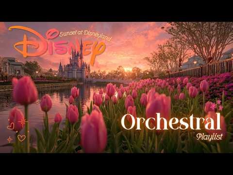 magical disney orchestral playlist 🏰 golden hour focus & dreaming 🌷🪄 sunset tulips at disneyland ✨