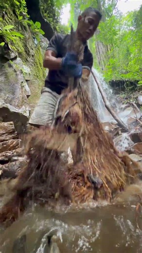 Wow, I found a tree root under the waterfall that contained a large amount of gold dust.