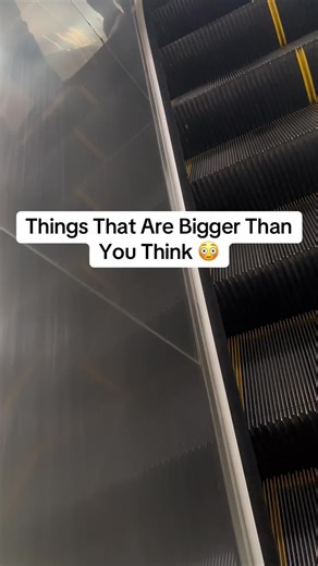 Surprising Things That Are Bigger Than You Think