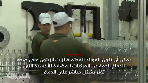 كيف تشتري أفضل زيت زيتون؟ إليك نصيحة الخبراء