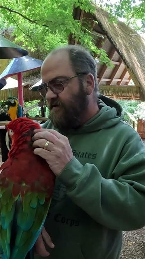 “This Macaw Was HUGE 😳🦜 (Parrot Mountain Visit)”