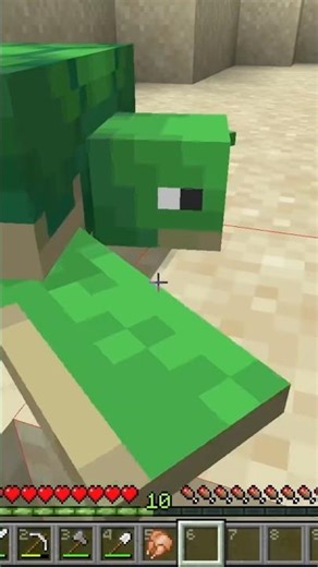 Moments before disaster, sorry Joanna, comment F for Joanna #minecraft #minecraftturtle #sorryjoanna