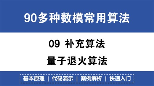 9 量子退火算法 大佬讲解｜基本原理｜案例解析 | 获奖必备！