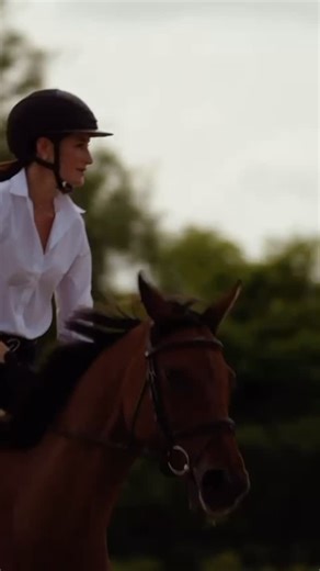 Jessica Springsteen on Instagram: "How it all began😊❤️ Thank you @kentucky_horsewear @dyon_belgium @grooming_deluxe for a beautiful day!"
