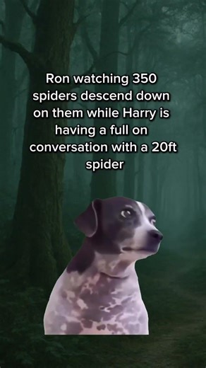 Ron watching 350 spiders descend down on them while Harry is having a full on conversation with a 20