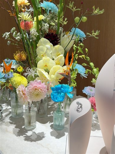 Alexandra Lapp on Reels