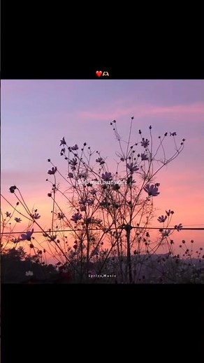Jab Bhi Teri Yaad Ayegi 🤍🎧 [ Slowe & Reverb ] Aesthetic Song|Lyricsmusic|#lyrics#aesthetic#fypシ