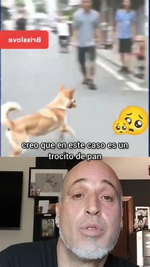 Que gran corazón tienen los animales
