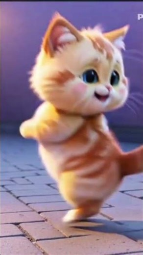 CATS ANIMATION 3D VIDEO