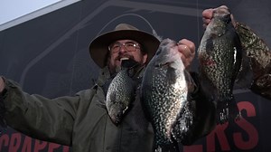 17K views · 151 reactions | Black crappie and white crappie each act different during the spawn. Here's pro angler, Eric Cagle, explaining. | American Crappie Trail | Facebook