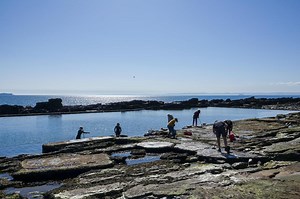 Bid to restore Cellardyke sea pool as the tide turns on wild swimming