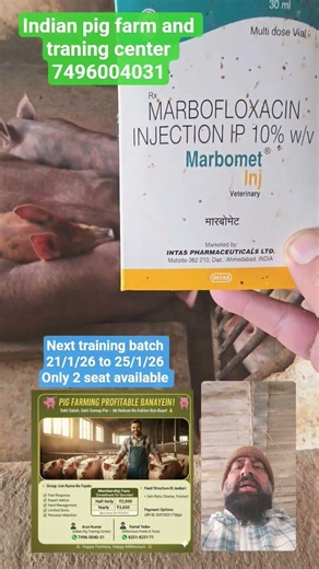 how to start pig farming #pigging #farming #pigfeed #pigbreeding #pig #meatmarket #pigfarming