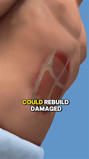 How does tissue repair happen after injury? #tissue #regeneration #BodyRepair #MedicalKnowledge #scienceexplained