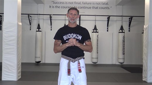 Budokon灵活性训练