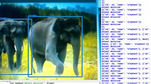 Python-Based Species Classification Wireless Camera For Forest