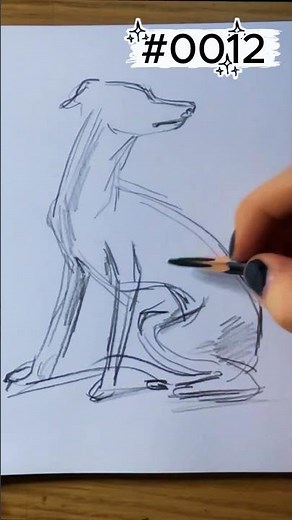 #0012 Sketch Marathon: Part 4 | How to draw a dog | Minimalist Greyhound Sketch