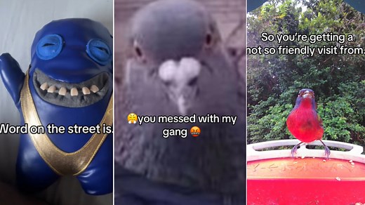 Word On The Street Is You Messed With My Gang | Know Your Meme