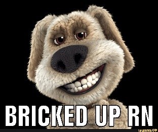 Bricked Up – Meaning, Origin and Usage - English-Grammar-Lessons.com