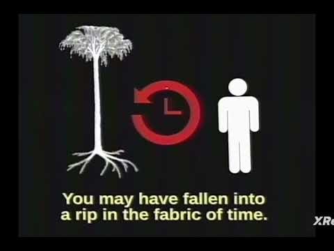 Have you seen this tree? Lepidodendron tree [analog horror]