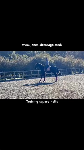 🙂 Training square halts, Schooling under saddle 🙂 This short video clip shows myself training a clients horse under saddle. 📍Balance and control: Square halts teach horses to balance their weight evenly, improving overall control during transitions. 📍Foundation for movements: A solid halt is crucial for executing advanced movements, setting the stage for better performance ( harmony). 📍Communication: Square halts enhance the riders ability to communicate effectively with the horse through s