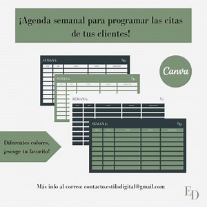 Weekly Appointment Planner / Digital Planner / Downloadable PDF / Business Template / Client Planner / Appointment Planner / Business Planner - Etsy Australia