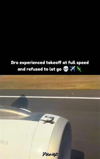 Bro experienced takeoff at full speed and refused to let go 💀✈️🦎