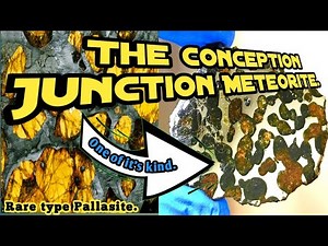 The Rare type Pallasite, The Conception Junction Meteorite. #meteor #meteorite