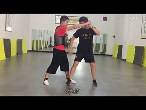 Bajiquan partner form "Liuzhoutou" practice and variations