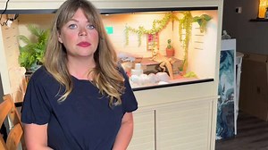 Bearded dragon sleeping all day: here is why