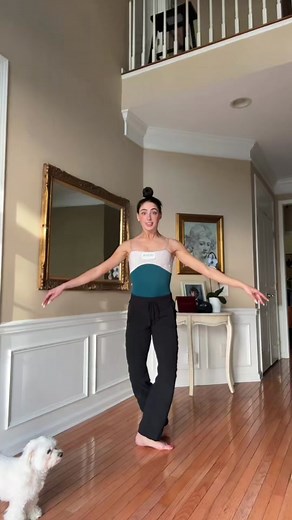 at least i kept my dog’s attention lol #dancer #flexibilitychallenge #flexibility