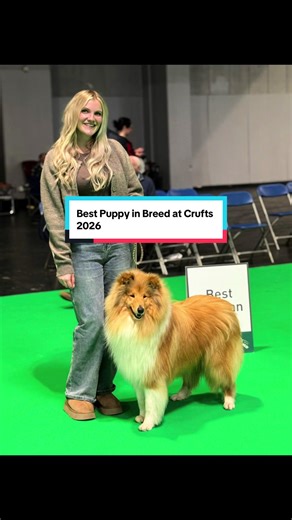 Best Puppy in Breed at Crufts 2026