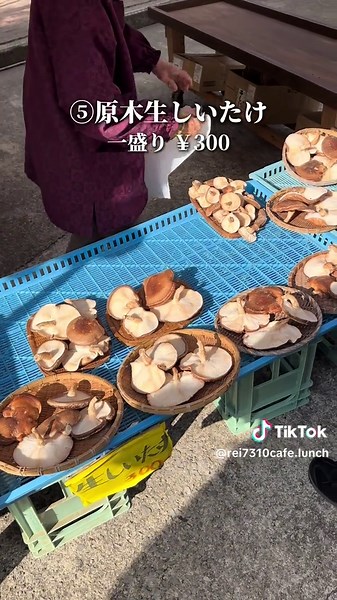 絶景紅葉ドライブと深耶馬溪の魅力