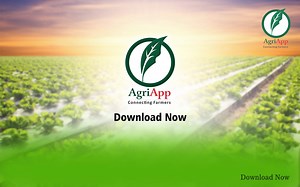 18 reactions | A solution to all your farming related queries, completely secure and trustworthy. Package of Practices, Crop Calendar, Crop Calendar, News, Videos and Online Marketplace in a few clicks on your smartphone. Download the app now #agriculture #Farming #Smartfarming #AgriApp #Farmer #agriculturelife | AgriApp Technologies Pvt Ltd | Facebook