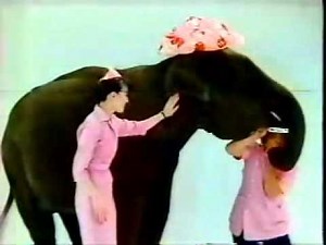 レオナルド熊 サンスタードゥー