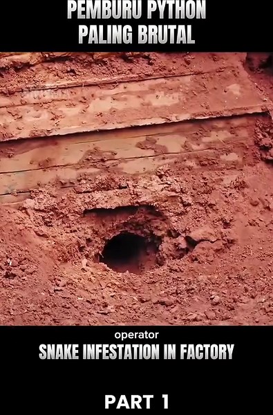 Ketika sebuah pabrik dipenuhi ular python raksasa, tidak ada yang berani masuk—kecuali satu orang. “Snake Infestation in Factory” mengikuti pemburu python paling brutal, yang dikenal karena keberanian dan metodenya yang ekstrem. #SnakeInfestation #RingkasanFilm #MovieRecap #PemburuPython #PythonHunter #FilmAksi #FilmMenegangkan #VideoRingkasanFilm #KisahNyali #ThrillerMovie #UlarRaksasa #FilmSeru #StoryRecap #SurvivalMovie #FactoryAttack