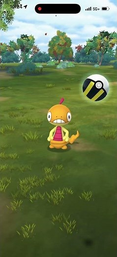 Catching Shiny Scraggy in Pokemon Go #pokemongo #pokemon #shinypokemon