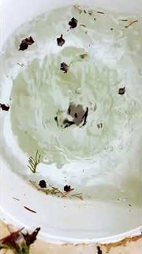 How to vacuum a pool using skimmers