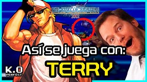 TERRY All Perfect 🔥😱 | K.O. PERFECT