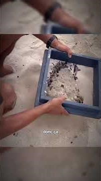 🌊 Mystères de l’Océan | Secrets, Créatures et Histoires Inexpliquées