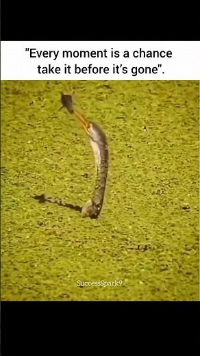 Every moment is a chance #motivationalmind #shorts #lipsync #jumpstyle #aes #driftphonk #tweening