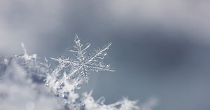 First Warning Forecast: Snow falling across the area making for dangerous road conditions