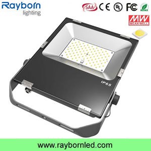 [Hot Item] High Brightness 80W 100W LED Floodlight Projector to Replace 250W Halogen Light