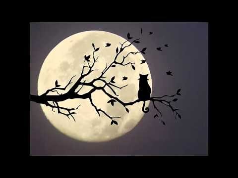 Hey Diddle Diddle - 1 Hour Repeat