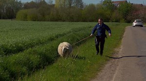 348K views · 4.3K reactions | Hoera, over exact een week komt Echte Verhalen: De Buurtpolitie terug! Dat vieren we nu al met een reeks grappige bloopers!  | VTM | Facebook