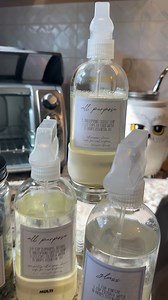21K views · 549 reactions | All Purpose Cleaners ✨ I use these two cleaners for everything! The disinfecting one mainly lives in my bathroom, but we pull it out for pet messes https://livingplanetfriendly.com/shop/ #Cleaning #Cleaner #DIYClean #DIYCleaning #DIY #AllPurposeCleaner #CastileSoap #Castile #Ecofriendly #Eco #EcoCleaners #CleanTok #LowWaste #Sustainable #Sustainability #EcofriendlyCleaning #EcoReset #Reset | Living Planet Friendly | Facebook