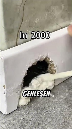 Mice are completely helpless against this new method! 🐭🏠