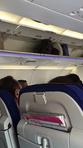 日本初導入 ANA最新機 エアバスA321neo 機内映像