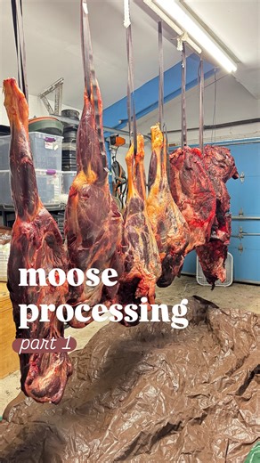 13K views · 3.9K reactions | I always get a ton of questions when I post our moose processing so leave them in the comments here & I’ll try to answer them in the upcoming videos. #hunting #meatprocessing #freezer #freezer #moose #moosehunting #alaskalife #meat #carnivore #meatlover #carnivorelife | Happy Home Alaska | Facebook