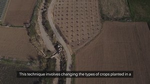 Soil Health Crop Rotation